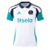 Newcastle United Alexander Isak #14 Replik 3rd trikot 2024-25 Kurzarm